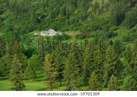 house inside forest in washington, usa
