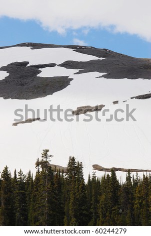 Snow mountain summit in spring at columbia icefield area, jasper national park, alberta, canada