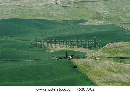 Rolling hills and wheat fields in steptoe butte state park, washington, usa