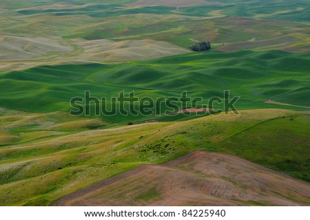 rolling hills and wheat fields in palouse area, washington, usa