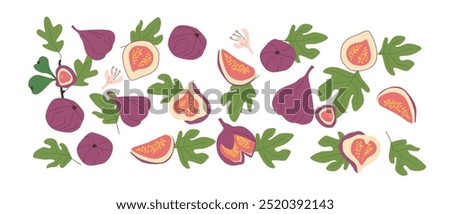 Hand drawn abstract fruit fig plant set. Whole fruit, slices, pieces and leaves, flowers. Can used for posters, labels, patterns.