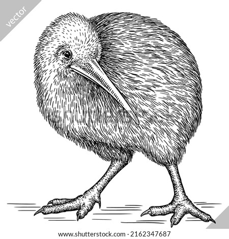 black and white engrave isolated Kiwi bird vector illustration