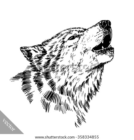 Black And White Engraved Isolated Wolf Stock Vector Illustration ...