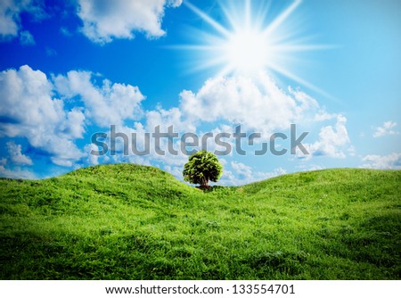 Beautiful green grass against a blue sunny sky