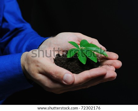 Green sprout in the men\'s hands on a black background