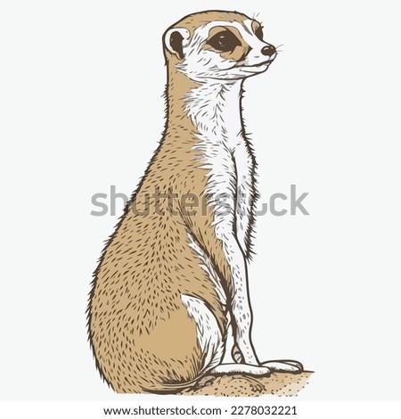 Sticker Meerkat white outline. flat vector illustration