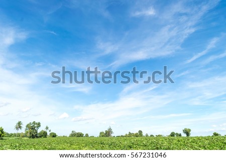 Foto Bild Wolken Umwelt Himmel