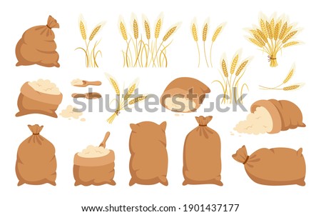 Bag flour and wheat ears, cartoon set. Heap flour, gold grain spikelets collection. Bread and harvest agricultural symbol flour production. Design organic farm elements, organic packaging label vector