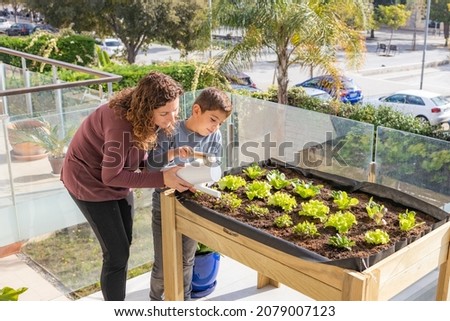 Similar – Foto Bild Salatanbau Nahrungsmittel