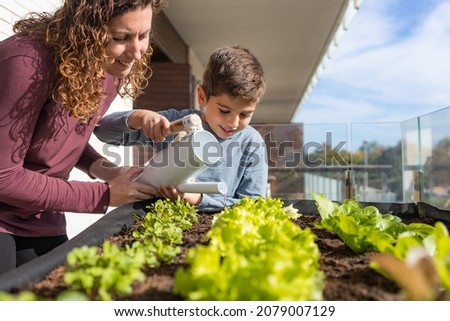 Similar – Foto Bild Salatanbau Nahrungsmittel