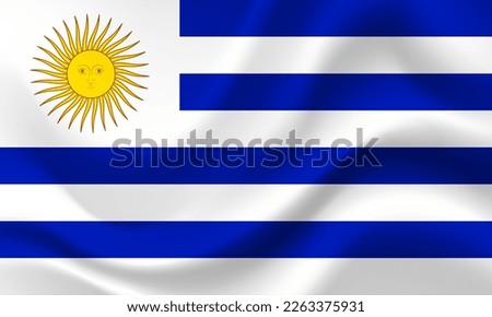 Uruguay flag. Flag of Uruguay . Uruguay flag illustration. Uruguayan background. 