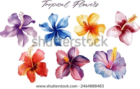 Watercolor tropical flowers. Floral illustration. Set of exotic flowers. Tropical collection