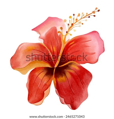 Watercolor tropical flower. Floral illustration. Exotic flower. Watercolor orchid