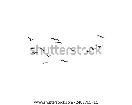 Group of  flying bird make with vector