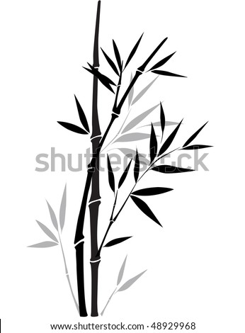 Black And White Bamboo Stock Vector Illustration 48929968 : Shutterstock