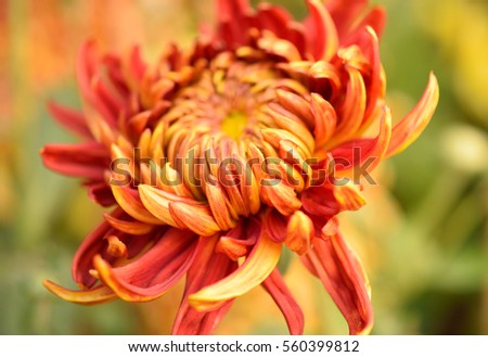 Shutterstock Puzzlepix Shutterstock Puzzlepix