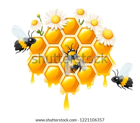 Honeycomb with honey drops. Sweet honey with flower and bees. Logo for shop or bakery. Flat vector illustration isolated on white background.