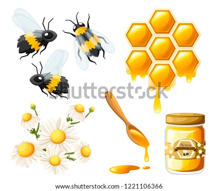 Honeycomb with honey drops. Sweet honey with flower and bees. Container for honey and spoon. Logo for shop or bakery. Flat vector illustration isolated on white background.