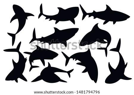 Black silhouette set of shark with mouth closed in different poses Shark with mouth closed giant apex predator cartoon animal design flat vector illustration isolated on white background