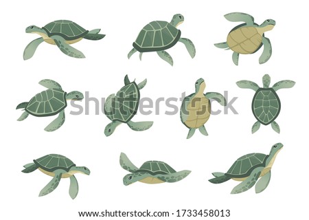 Set of big green sea turtle cartoon cute animal design ocean tortoise swimming in water flat vector illustration isolated on white background