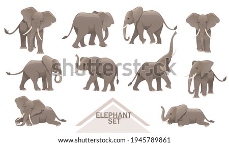 Set of big gray african elephants biggest earth mammal cartoon animal design vector illustration on white background