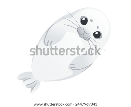 Cute white seal child mammal arctic animal cartoon animal design vector illustration isolated on white background