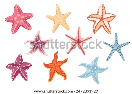 Set of colorful simple starfish vector illustration isolated on white background