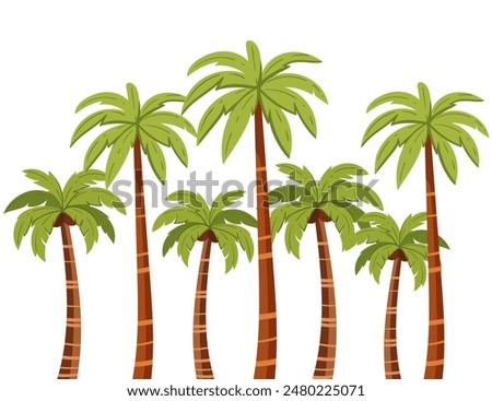 Tropical green palm trees with leaves and coconuts simple cartoon design vector illustration isolated on a white background