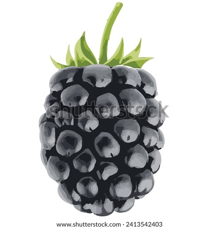 Whole Fresh BlackBerry Fruit Vector file ready to use