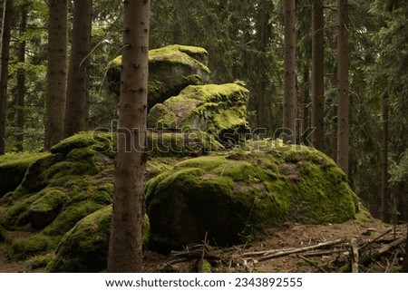 Similar – Image, Stock Photo Green, mossy boulders in coniferous forest