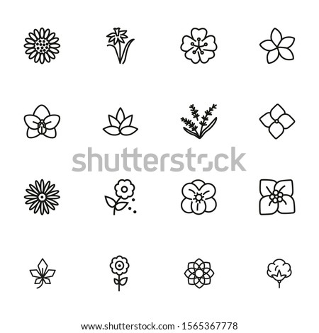 Flowers line icon set. Daffodil, gerbera, lavender. Nature concept. Can be used for topics like blossoming, spring, summer, plants