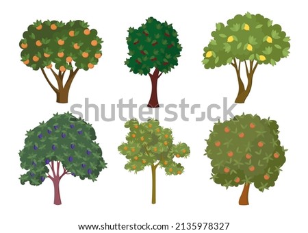 Various fruit trees with ripe fruits cartoon illustration set. Cherry, lemon, orange, apple, tangerine sweet woods or bushes. Garden or orchard plants during fruit ripening. Nature, food concept