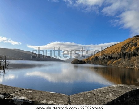 Similar – Image, Stock Photo #A9# Autumn in the forest