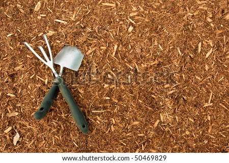 Garden Tools on Bark Mulch suitable for a background