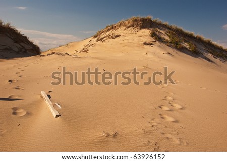 A view of a sand dune with footsteps and drift wood.  The shadows bring out the details.