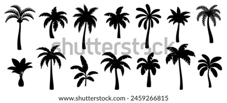 Black palm silhouettes. Tropical trees shadows. Variety beach palms with leaves. Oasis, paradise, island, resort, vacation monochrome symbols isolated on white background. Vector set. Hawaii nature