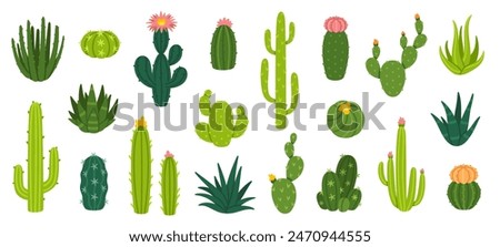 Cactuses. Desert plant, Mexican cacti flower, aloe, succulent. Cartoon decorative gardening cactus, home plants, summer Mexico nature plants. Vector flat set. Exotic botanical spiny elements