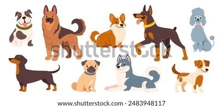 Cute dogs and puppies. Cartoon different breeds pet. Funny doggy characters. Happy friendly canine animals. Pug, corgi, poodle, husky and poodle. Vector set.