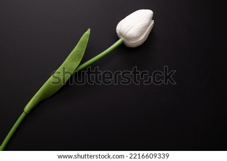 Similar – Image, Stock Photo artificial white tulips and green leaves in a black vase on the table in home interior.