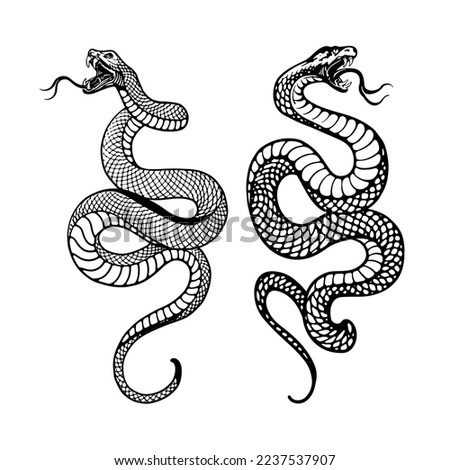 black and white illustration of a snake, illustrated with fine, detailed lines to show its scales and markings