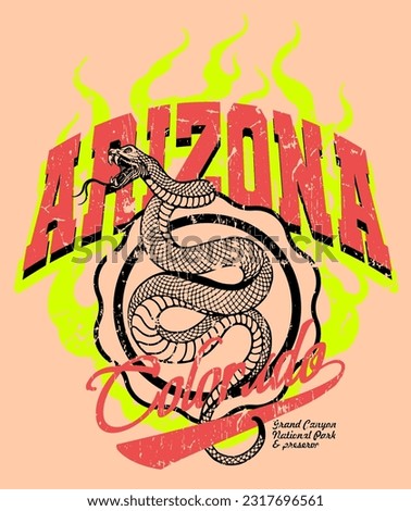 Embracing a vintage aesthetic, this t-shirt boasts a varsity style design with a captivating snake illustration, beautifully integrating Arizona and Colorado elements in its graphic print