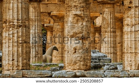 Similar – Image, Stock Photo Columns, Paestum, Italy