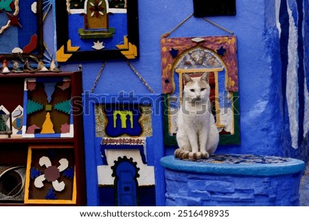 Similar – Image, Stock Photo Photography of a window in the kitchen