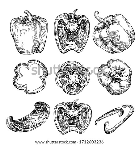 photo How To Draw A Pepper Cut In Half bell pepper drawing at getdrawings