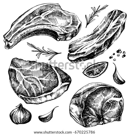 Hand drawn sketch meat set. detailed ink food illustration. Steak meat hand drawing with pepper and rosemary, lemon, garlic. 