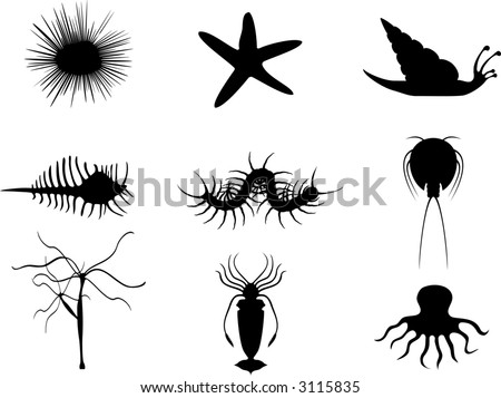 Invertebrate Icons Stock Vector Illustration 3115835 : Shutterstock