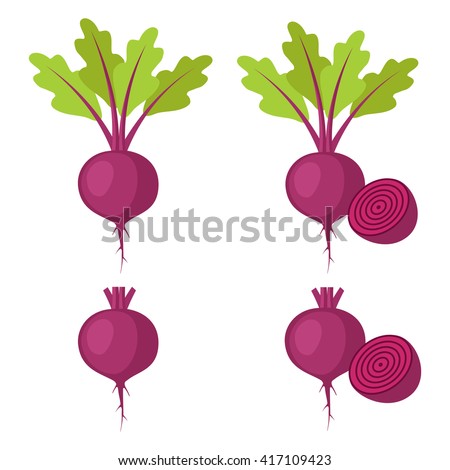 Set of beet - beet with leaves and half of beet, beet without leaves and with half of beet. Vector illustration.