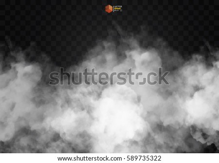 Fog or smoke isolated transparent special effect. White vector cloudiness, mist or smog background. Vector illustration