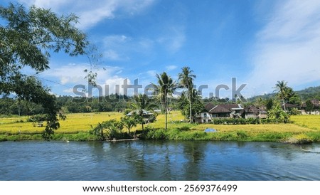 Similar – Image, Stock Photo Fast river in village on Faroe Islands