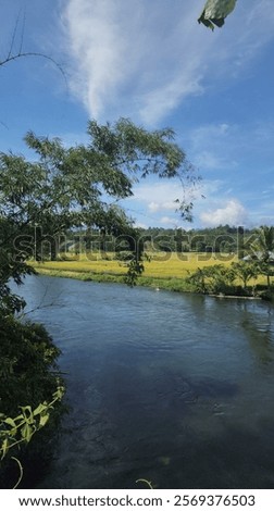 Similar – Image, Stock Photo Fast river in village on Faroe Islands